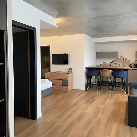 Ultra Modern 3min From Basel Apartment