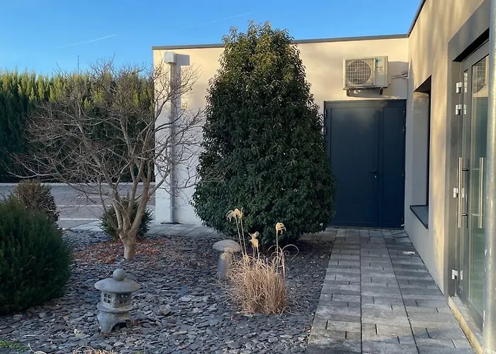 Ultra Modern 3min From Basel Hegenheim