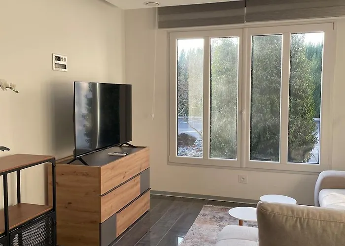 Apartamento Ultra Modern 3min From Basel Hegenheim