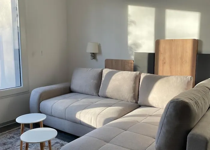 Ultra Modern 3min From Basel Apartman *